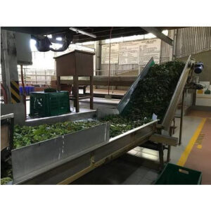 Tea Leaf Traveler Conveyor