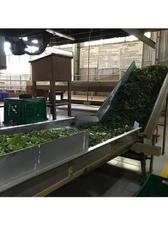 400 kg Tea Leaf Traveler Belt Conveyor